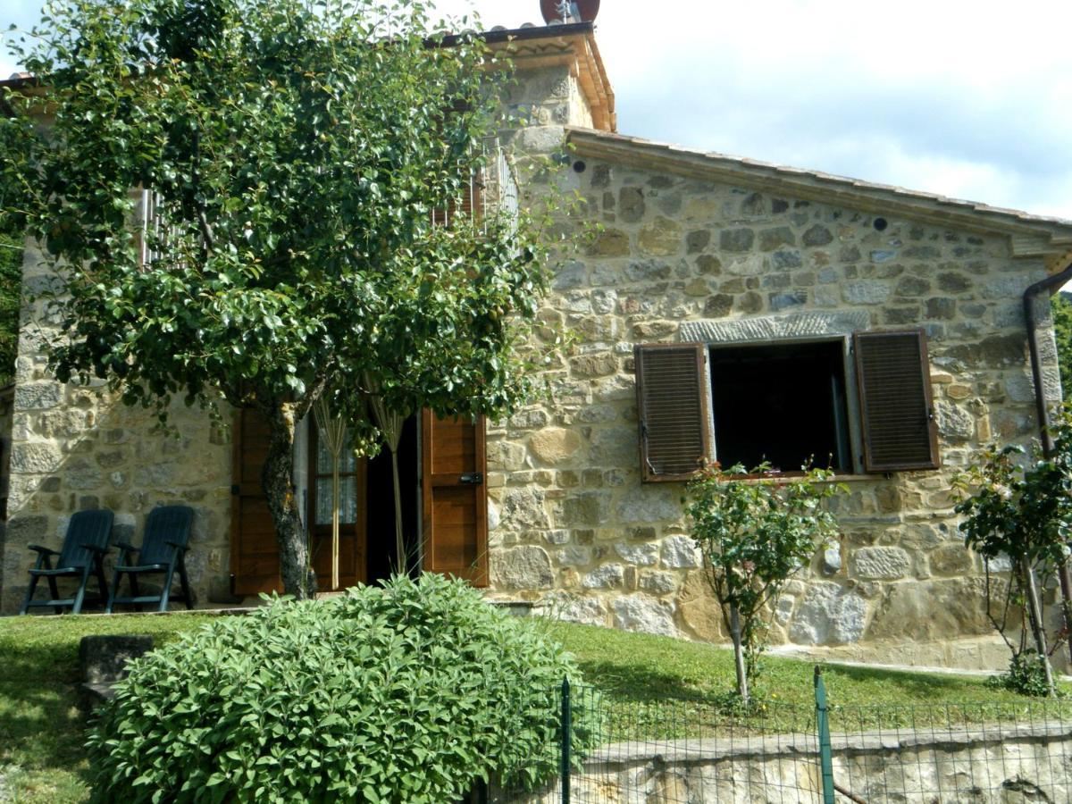 Agriturismo Ombianco Seggiano Kültér fotó