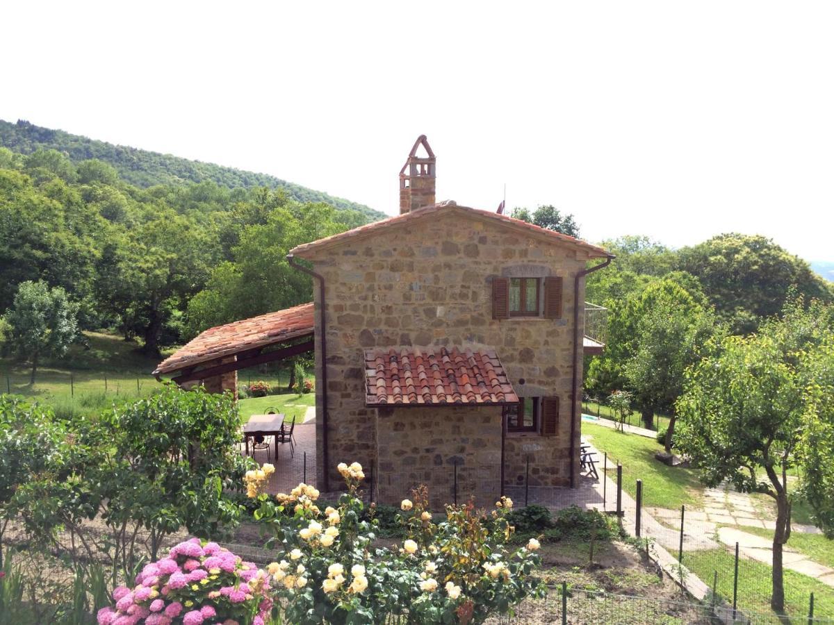 Agriturismo Ombianco Seggiano Kültér fotó