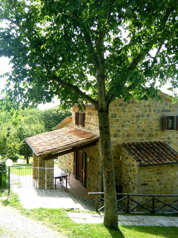 Agriturismo Ombianco Seggiano Kültér fotó