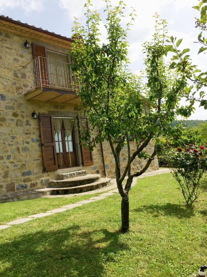 Agriturismo Ombianco Seggiano Kültér fotó